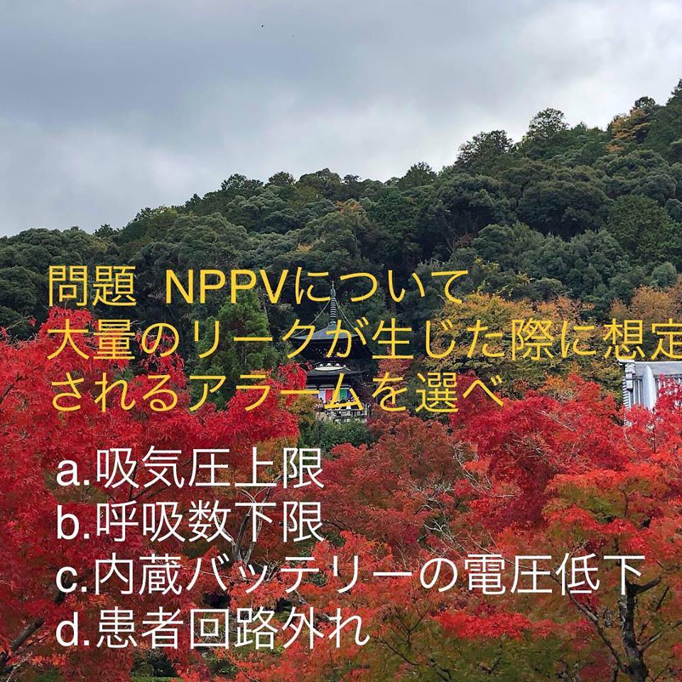 呼吸療法認定士